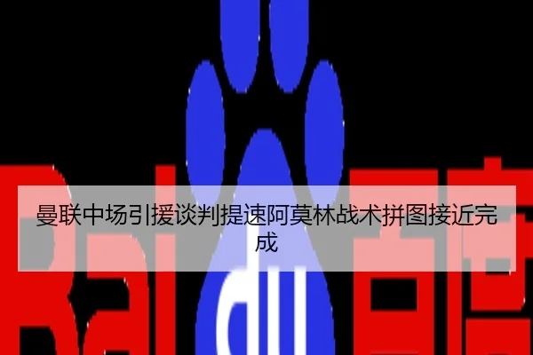 曼联中场引援谈判提速阿莫林战术拼图接近完成
